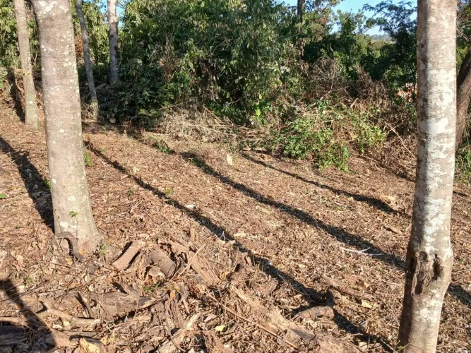 TERRENO JAGUARIUNA