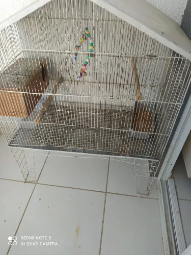 Gaiola disponível