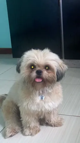 Procurando uma namorada