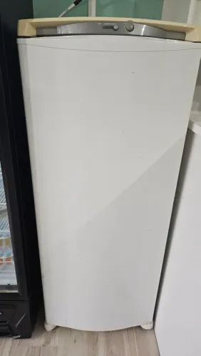 Freezer Vertical 230L 220v