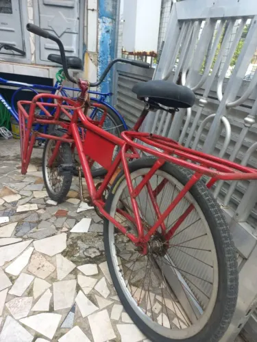 Bike cargueira 