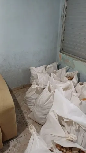 PAGO HOJE R$ 50,00 para carregar entulhos...pedaços de parede
