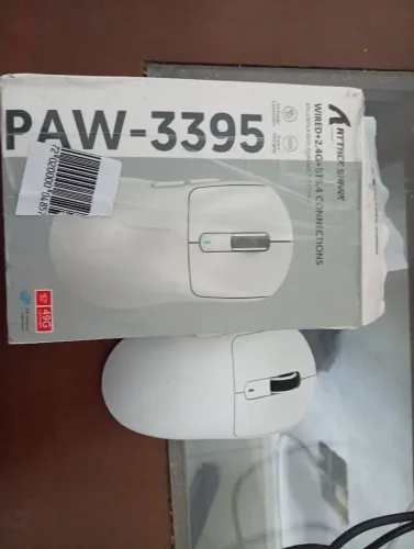 Mouse atack Shark paw-3395