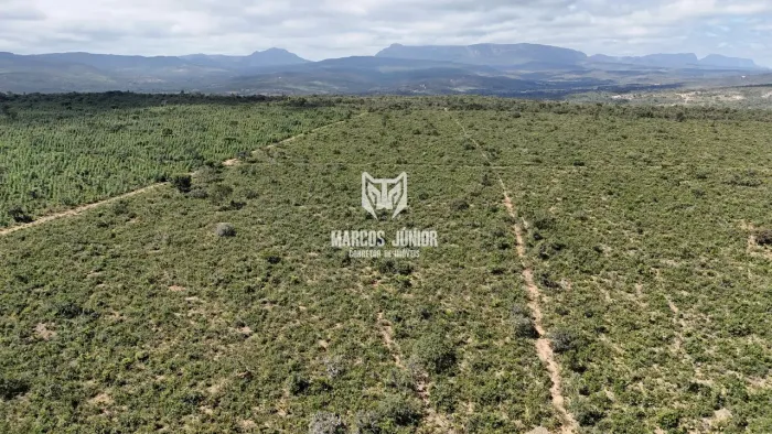 VENDO FAZENDA PARA PLANTIO DE CAFE, EUCALIPTO OU BATATA NO NORTE MG, GRAO MOGOL 1000 HA CO