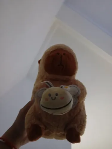 Capivara de pelúcia 