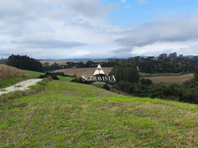 Terreno para chácara em Campo Alegre - 20.0000 m2