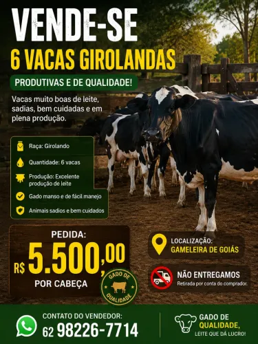 Vacas Girolandas