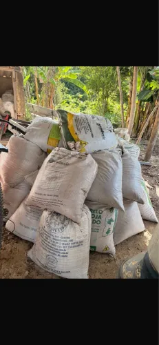 Esterco de gado em confinamento 