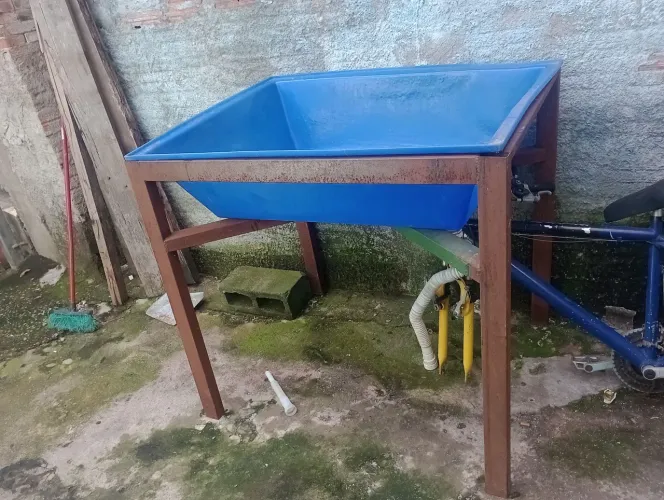 Banheira para cachorro 