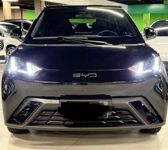 BYD Dolphin Mini (Elétrico) 2027