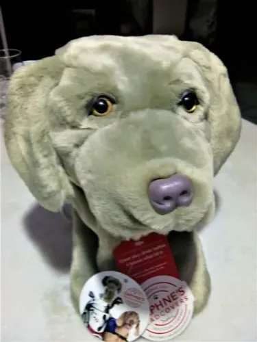 Daphne's Headcover Golfe (Proteção e Estilo para o seu Taco de Golfe) - Novo - R$ 290,00