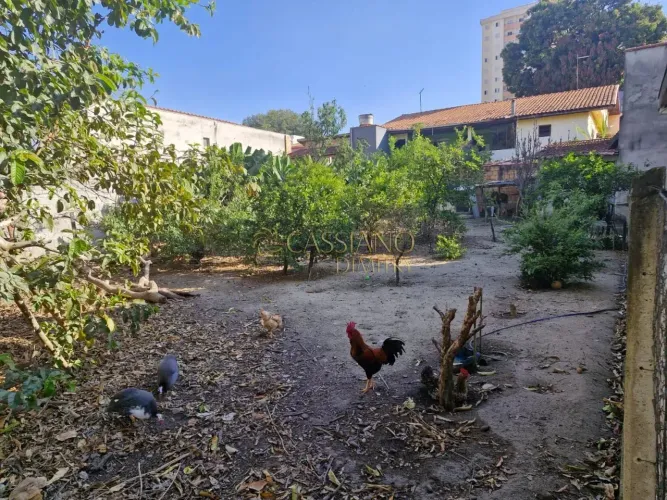 Terreno à venda de 290m² | Jardim das Industrias | São José dos Campos |