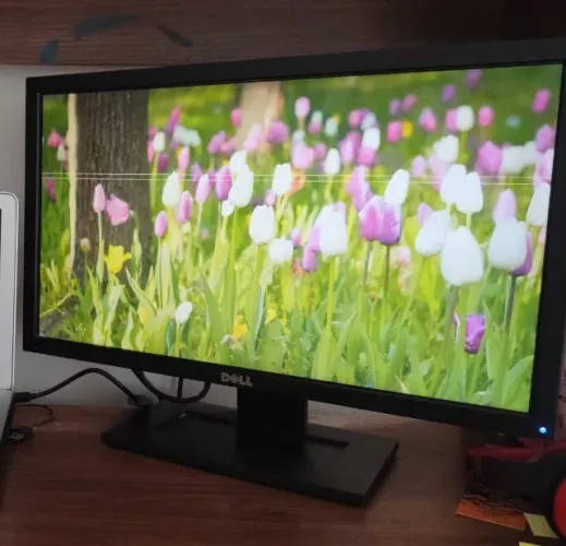 Monitor Dell LCD E2211Hc - Leia atentamente a descrição e observe as imagens