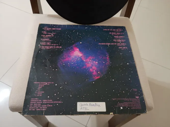 Disco de vinil hippopotamus