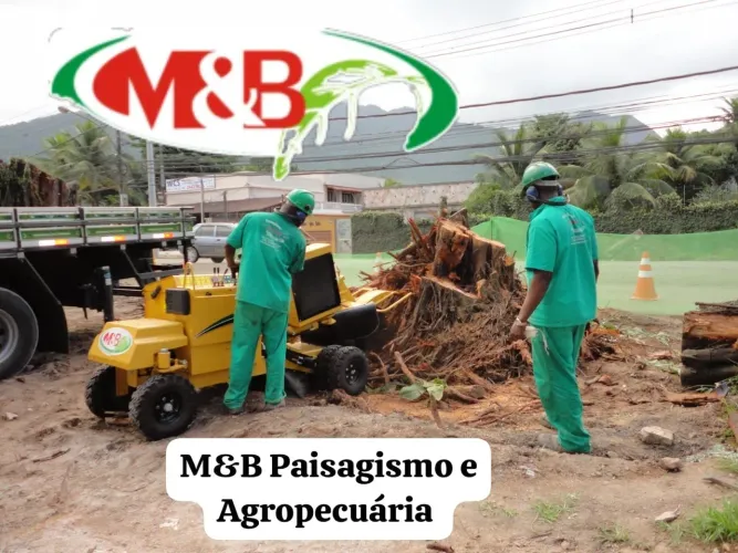 Locação Destocador de Raízes, Destocadora, Destocador de tocos, Destoca de raiz  