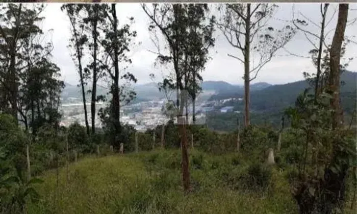 área - Vila Progresso - Santo André
