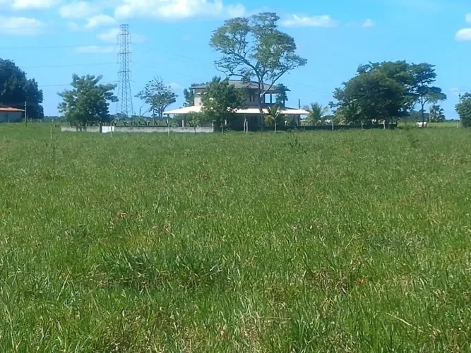 Belíssima fazenda no recôncavo baiano
