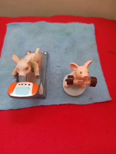 Esculturas de Porcos Malhando - Decoração Divertida