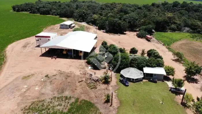 Fazenda no município de Tapurah, próximo de Lucas do Rio verde 1.689,059 hectares - Soja c