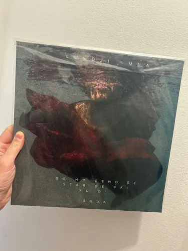 LP VINIL LUEDJI LUNA - BOM MESMO É ESTAR EMBAIXO D?ÁGUA