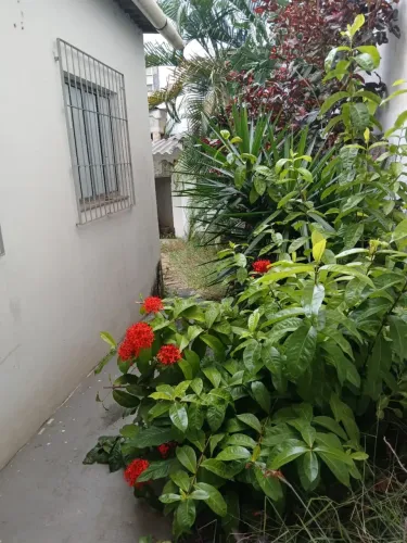 Imóvel para aluguel com 50 metros quadrados com 2 quartos em Campo Grande - Cariacica - ES