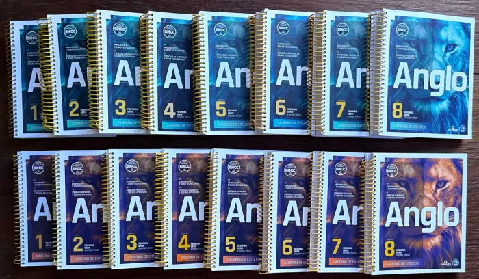 Kit com 16 apostilas Anglo 2022/2023 (1º e 2º ano EM) + 8 apostilas de brinde