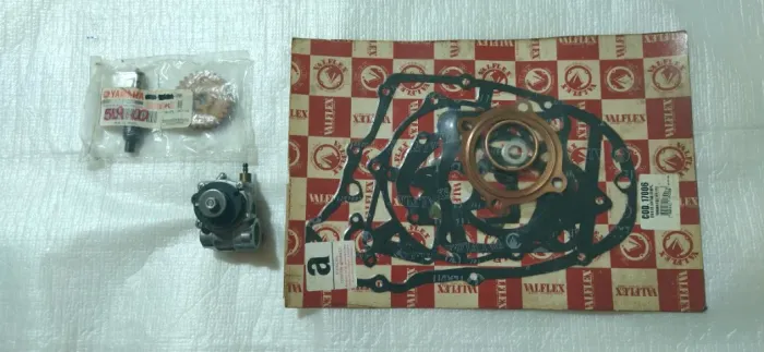 Bomba autolub RD135 + Eixo com Engrenagem + Jogo de Juntas Completo