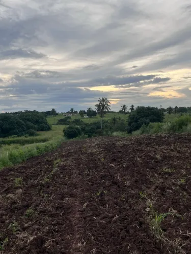 Vende-se terreno em São Miguel