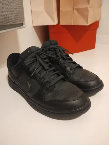 Tenis Nike Dunk Low Goretex