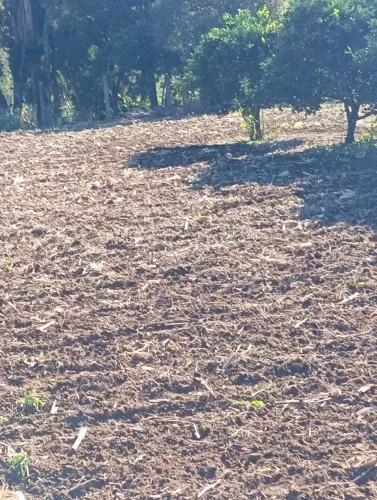Chácara fazenda rio grande