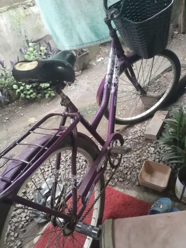 Baik aro 26