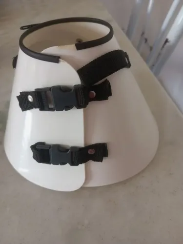 Cone para pet