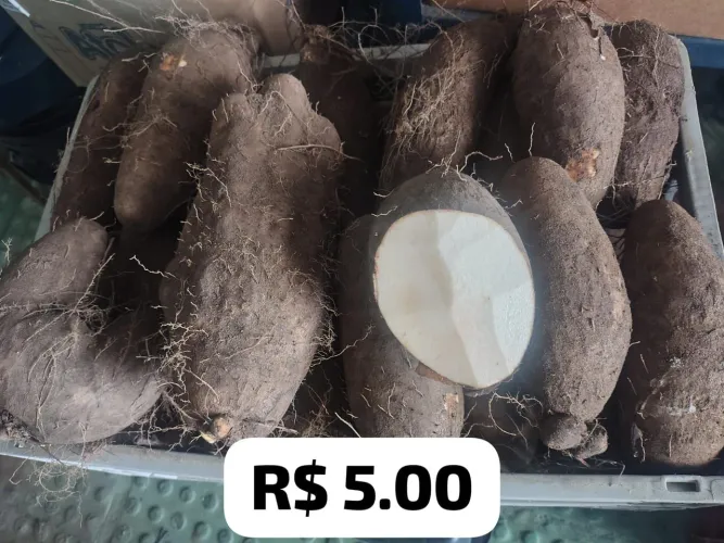 CARÁ DA PARAÍBA