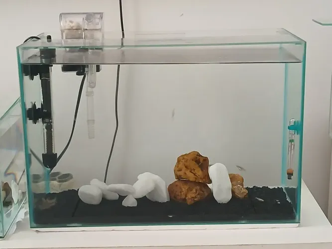 Aquario 30l COMPLETO