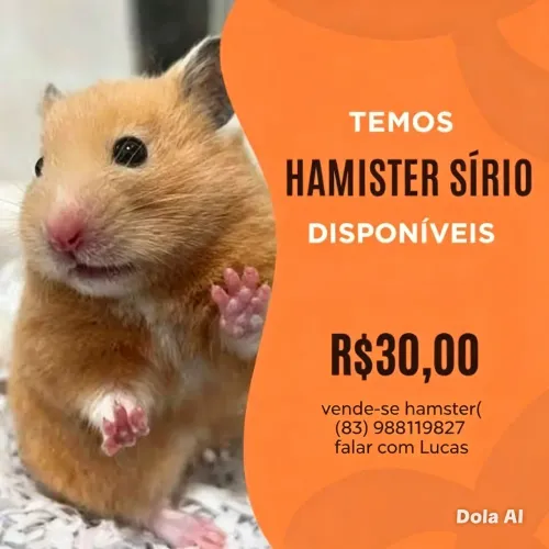 Hamster sítios
