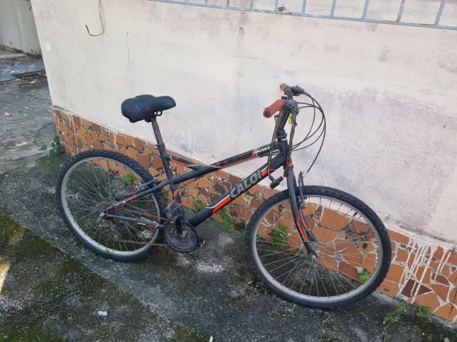 Bicicleta caloi snake