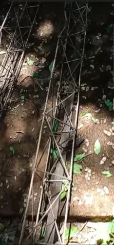 Colunas de ferro