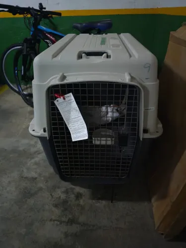 Caixa de transporte pet IATA