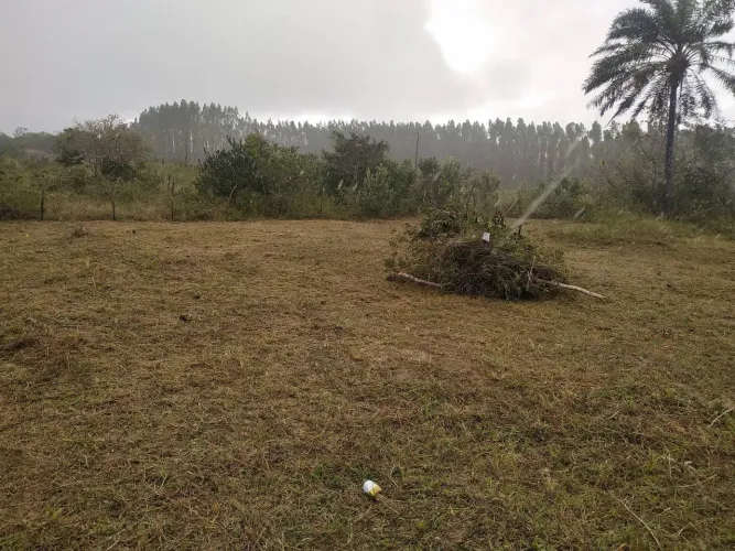 Lotes a venda na capoeira 20x30