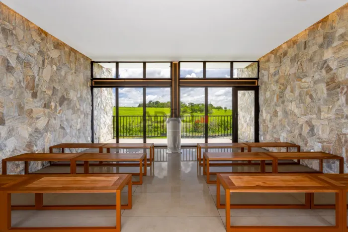 Lote Vinhas Flamboyant