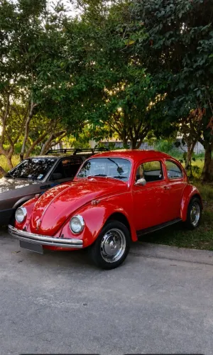 Volkswagen Fusca Fusca (gasolina) 1979