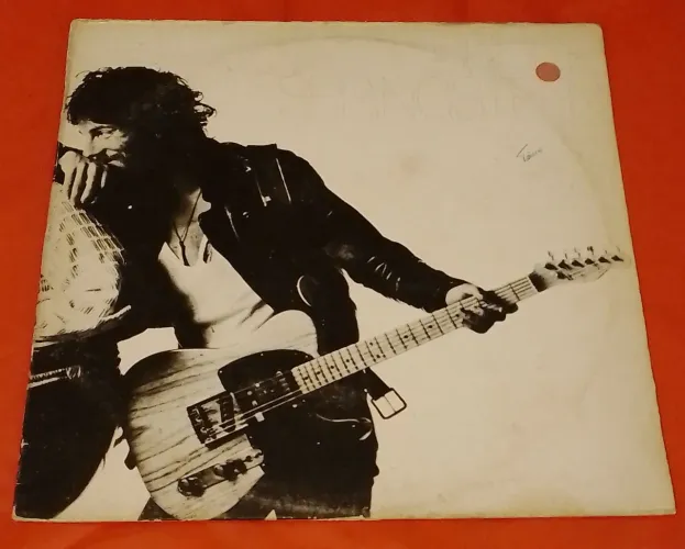 Bruce Springsteen - Born to Run LP Vinil (VG+)