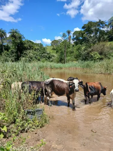 Sitio em Brumadinho