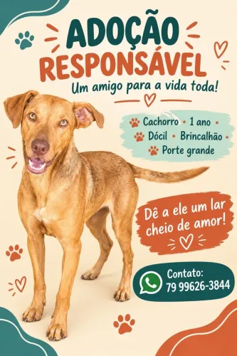 Adote o galego 