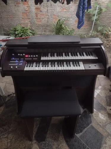 Órgão eletrônico
