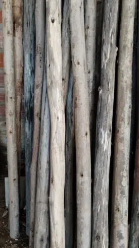 Pontaletes USADOS