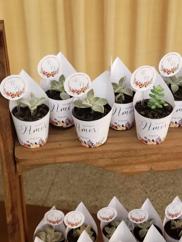 MINI SUCULENTAS E MINI CACTOS PERSONALIZADOS!!! EM ATÉ 3 DIAS.