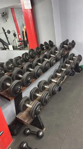 Estante de Dumbell