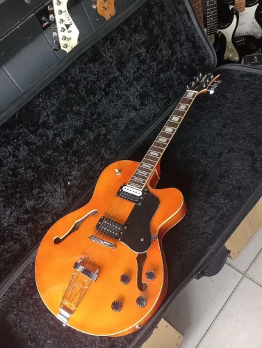 Guitarra semi acústica Waldman U.S.A design (aceito troca)