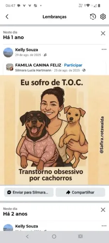 faxineira /diarista. .